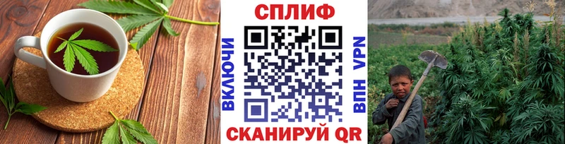 наркотики Бакал Еда ТГК конопля