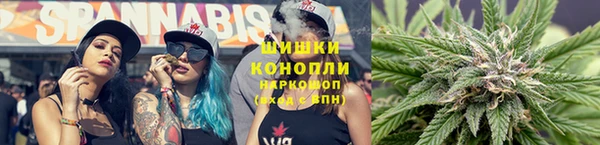 твердый Аркадак