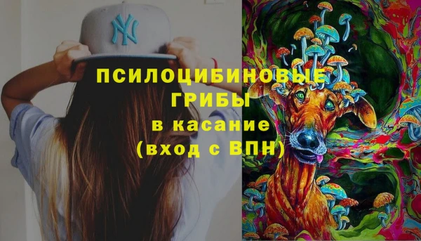 СК Краснослободск