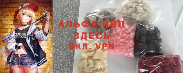 твердый Аркадак