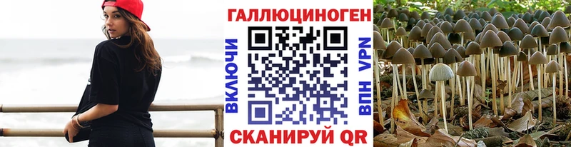 Псилоцибиновые грибы Cubensis Бакал